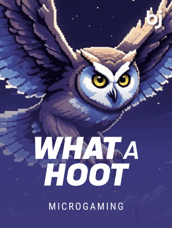 What A Hootpng thumbnail
